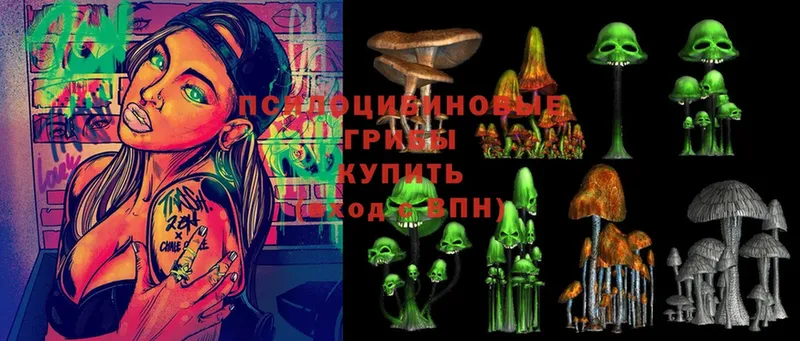 Псилоцибиновые грибы Psilocybe  Лангепас 